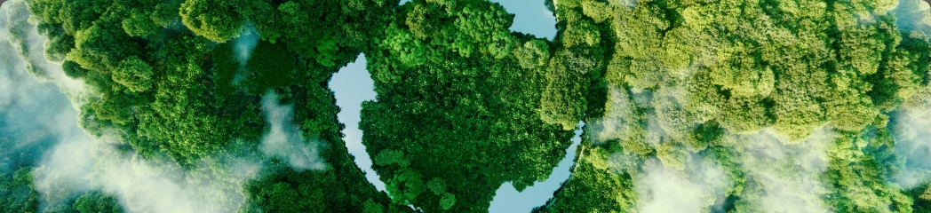 Sustainable Finance: