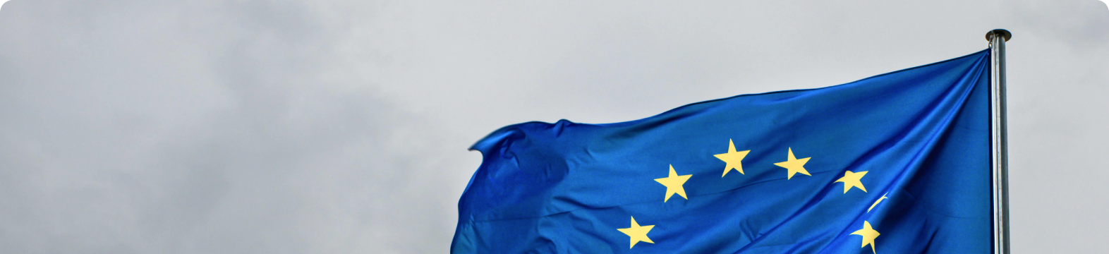 Omnibus package 2025: simplifying the Carbon Border Adjustment Mechanism and sustainability reporting in the EU