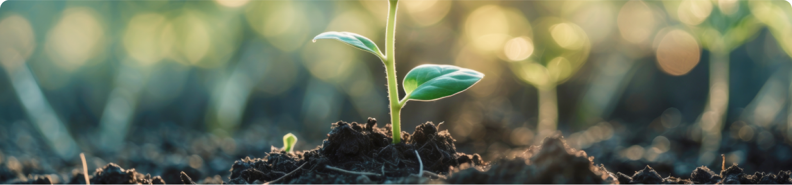 Europe’s Industrial Decarbonisation Act: A Market Reset in the Making