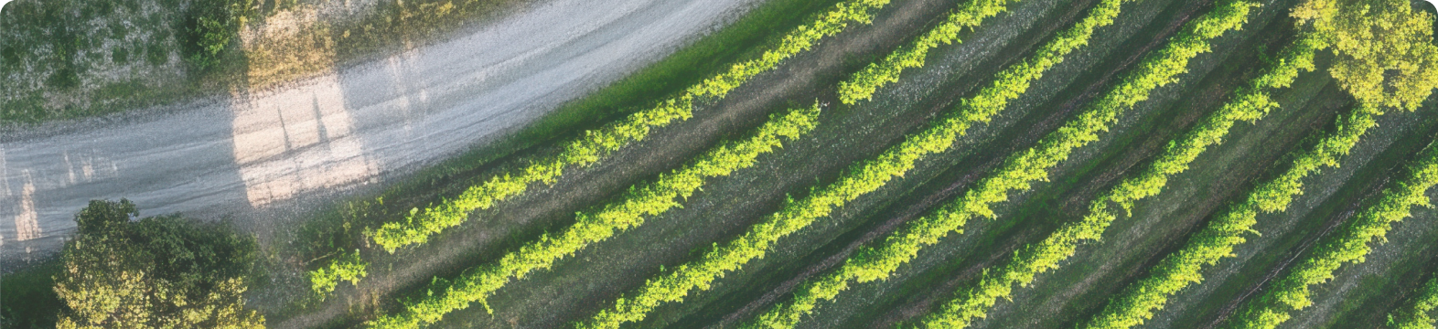Why biodiversity is everyone’s business: From ecosystems to economics