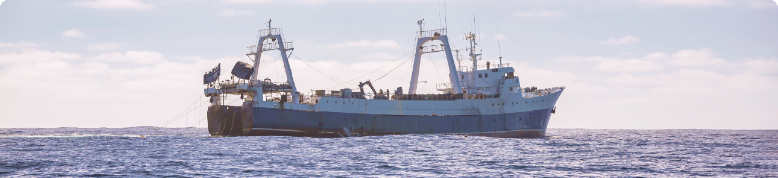 Brussels eyes overhaul of fisheries policy as signs of strain emerge across Europe’s waters
