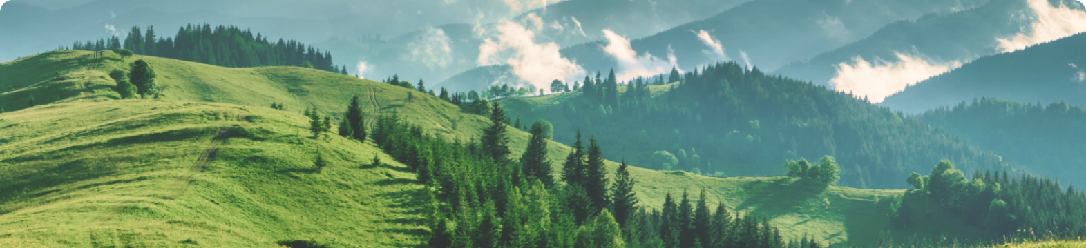 European Commission Proposes Unified Format for National Nature Restoration Plans