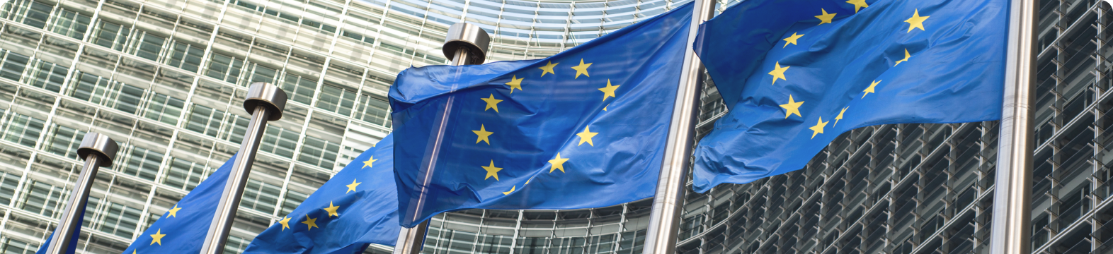 Europe moves to tighten the screws on toxic flame retardants