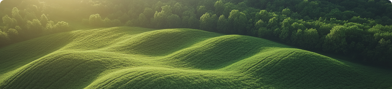 A greener shade of green bonds