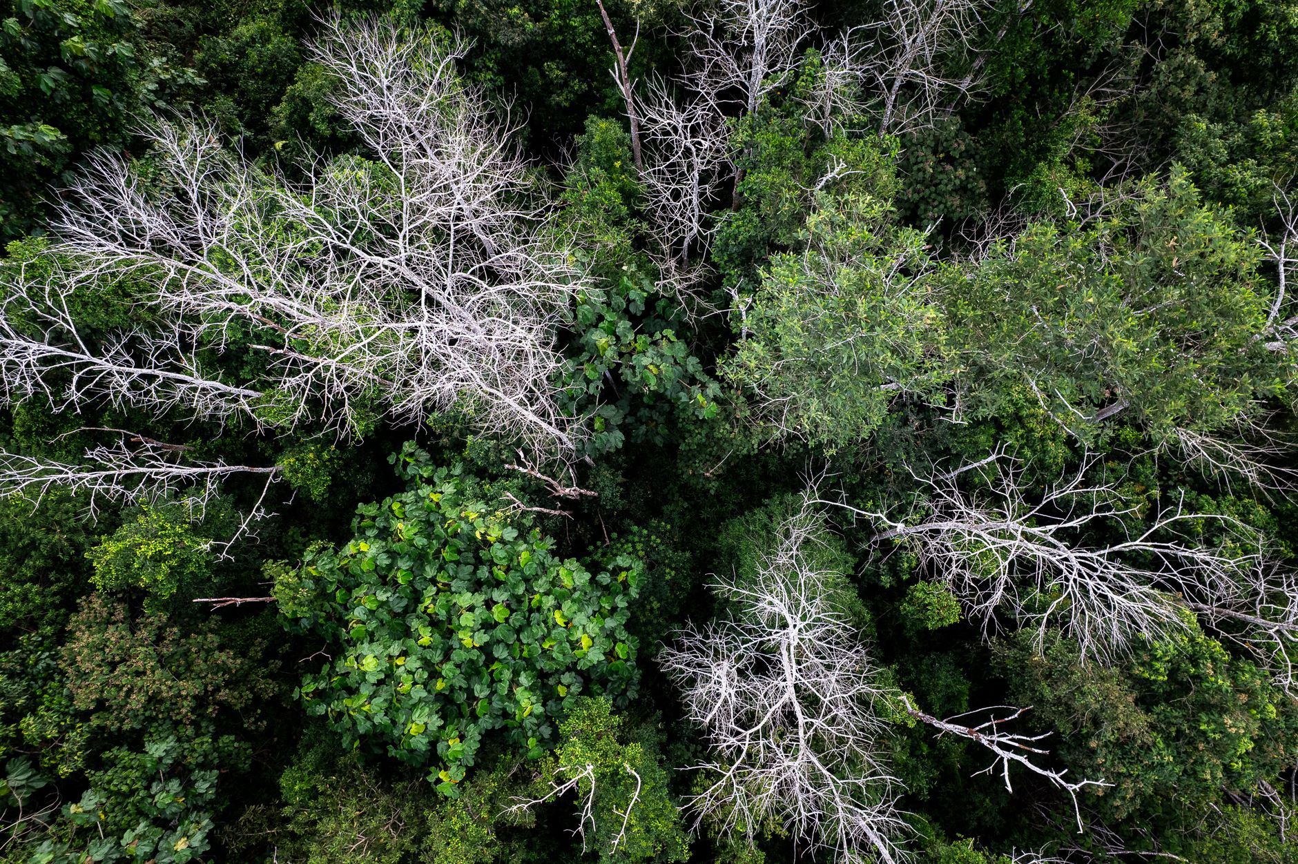 TNFD, SBTN and Nature Positive Initiative Release Aligned Corporate Nature Guidance