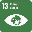 Icon representing SDG 13: Climate Action, part of the 17 global goals by Generation Impact Global