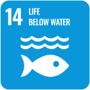 Icon representing SDG 14: Life Below Water, part of the 17 global goals by Generation Impact Global