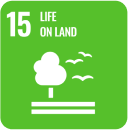 Icon representing SDG 15: Life on Land, part of the 17 global goals by Generation Impact Global